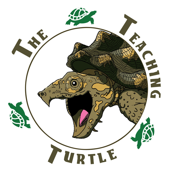 Teaching Turtle Logo